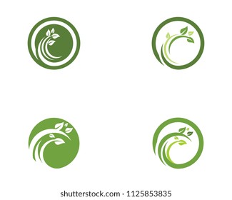 Logos of green Tree leaf ecology nature element vector