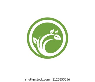 Logos of green Tree leaf ecology nature element vector