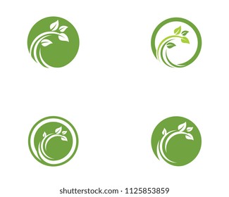 Logos of green Tree leaf ecology nature element vector