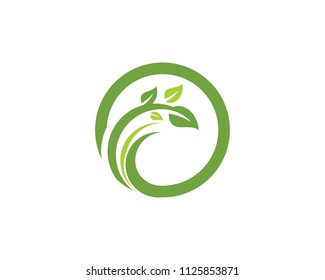 Logos of green Tree leaf ecology nature element vector