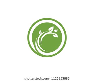 Logos of green Tree leaf ecology nature element vector