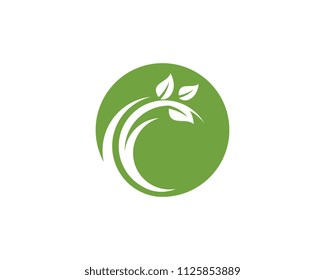 Logos of green Tree leaf ecology nature element vector