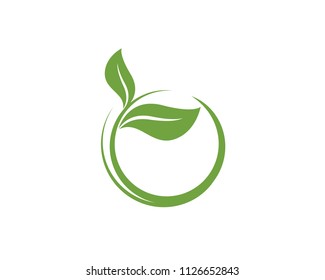 Logos of green Tree leaf ecology nature element vector