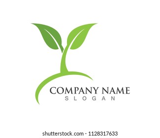 Logos of green Tree leaf ecology nature element vector