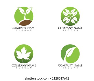 Logos of green Tree leaf ecology nature element vector