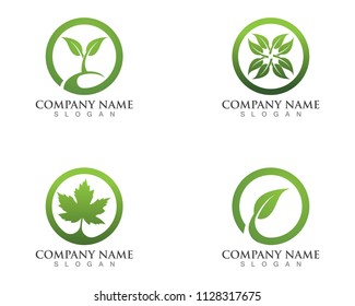 Logos of green Tree leaf ecology nature element vector
