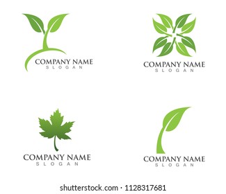 Logos of green Tree leaf ecology nature element vector