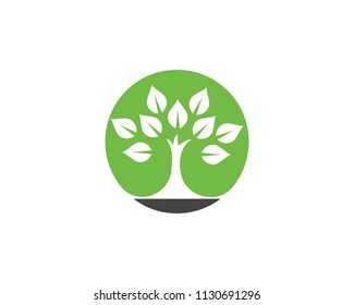 Logos of green Tree leaf ecology nature element vector