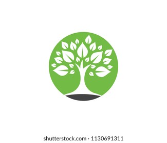 Logos of green Tree leaf ecology nature element vector