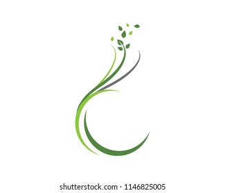 Logos of green Tree leaf ecology nature element vector