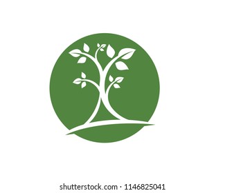 Logos of green Tree leaf ecology nature element vector