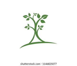Logos of green Tree leaf ecology nature element vector