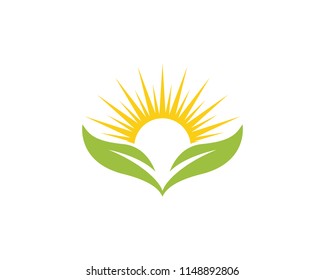 Logos of green Tree leaf ecology nature element vector