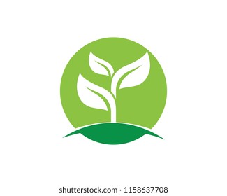 Logos of green Tree leaf ecology nature element vector