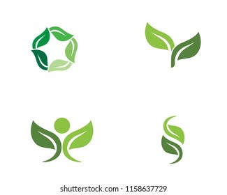 Logos of green Tree leaf ecology nature element vector