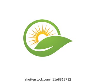 Logos of green Tree leaf ecology nature element vector