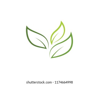 Logos of green Tree leaf ecology nature element vector