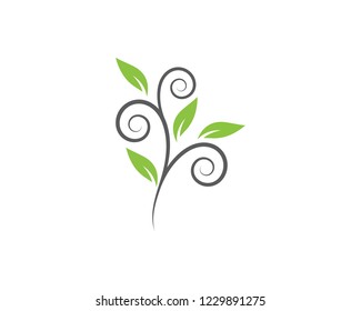 Logos of green Tree leaf ecology nature element vector