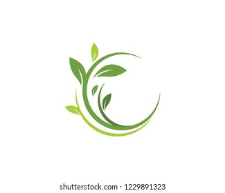 Logos of green Tree leaf ecology nature element vector