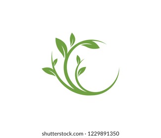 Logos of green Tree leaf ecology nature element vector