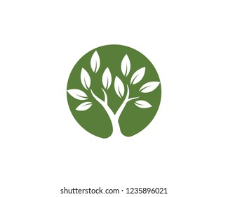 Logos of green Tree leaf ecology nature element vector