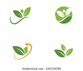 Logos of green Tree leaf ecology nature element vector