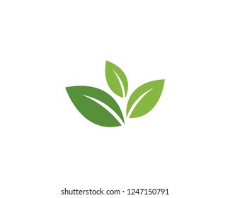 Logos Green Tree Leaf Ecology Nature Stock Vector (Royalty Free) 1247150791