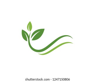 Logos of green Tree leaf ecology nature element vector