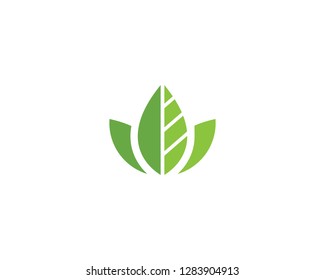 Logos of green Tree leaf ecology nature element vector
