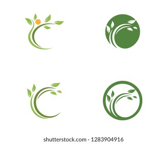 Logos of green Tree leaf ecology nature element vector