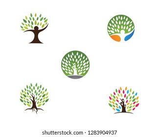 Logos of green Tree leaf ecology nature element vector