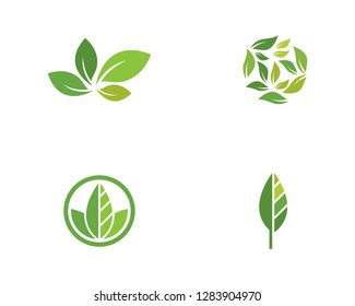 Logos of green Tree leaf ecology nature element vector