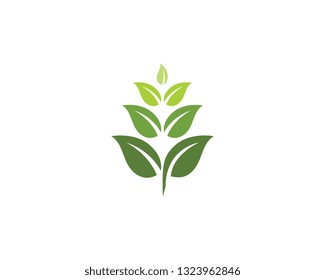 Logos of green Tree leaf ecology nature element vector