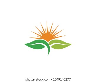 Logos of green Tree leaf ecology nature element vector