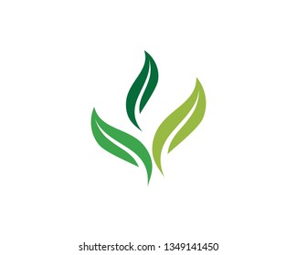 Logos of green Tree leaf ecology nature element vector