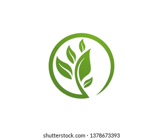 Logos of green Tree leaf ecology nature element vector