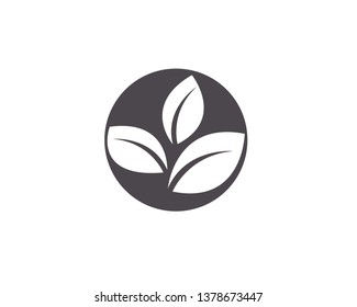 Logos of green Tree leaf ecology nature element vector
