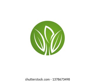 Logos of green Tree leaf ecology nature element vector