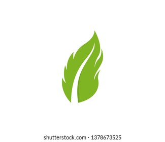 Logos of green Tree leaf ecology nature element vector