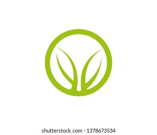 Logos of green Tree leaf ecology nature element vector