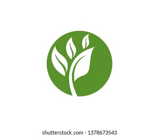 Logos of green Tree leaf ecology nature element vector