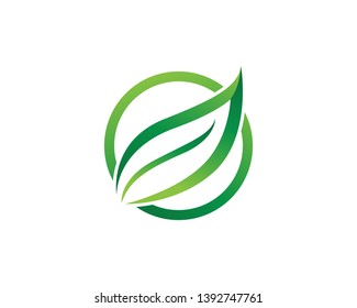 Logos of green Tree leaf ecology nature element vector