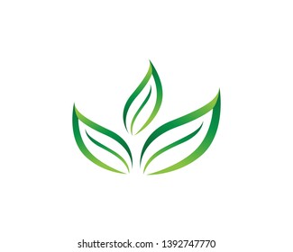 Logos of green Tree leaf ecology nature element vector