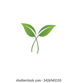 Logos of green Tree leaf ecology nature element vector