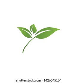 Logos of green Tree leaf ecology nature element vector
