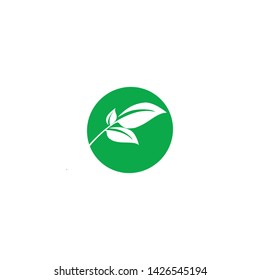 Logos of green Tree leaf ecology nature element vector
