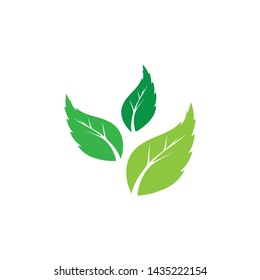 Logos of green Tree leaf ecology nature element vector