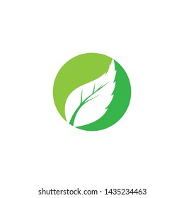 Logos of green Tree leaf ecology nature element vector