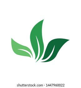 Logos of green Tree leaf ecology nature element vector