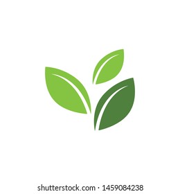 Logos of green Tree leaf ecology nature element vector